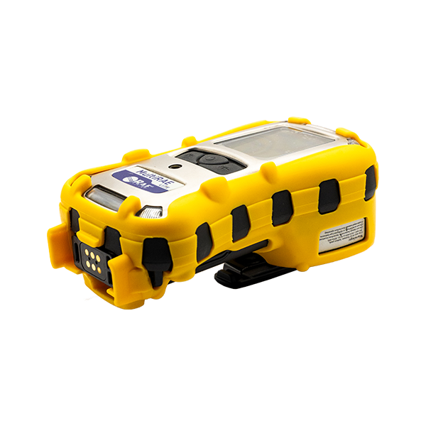 multiRAE vue profil